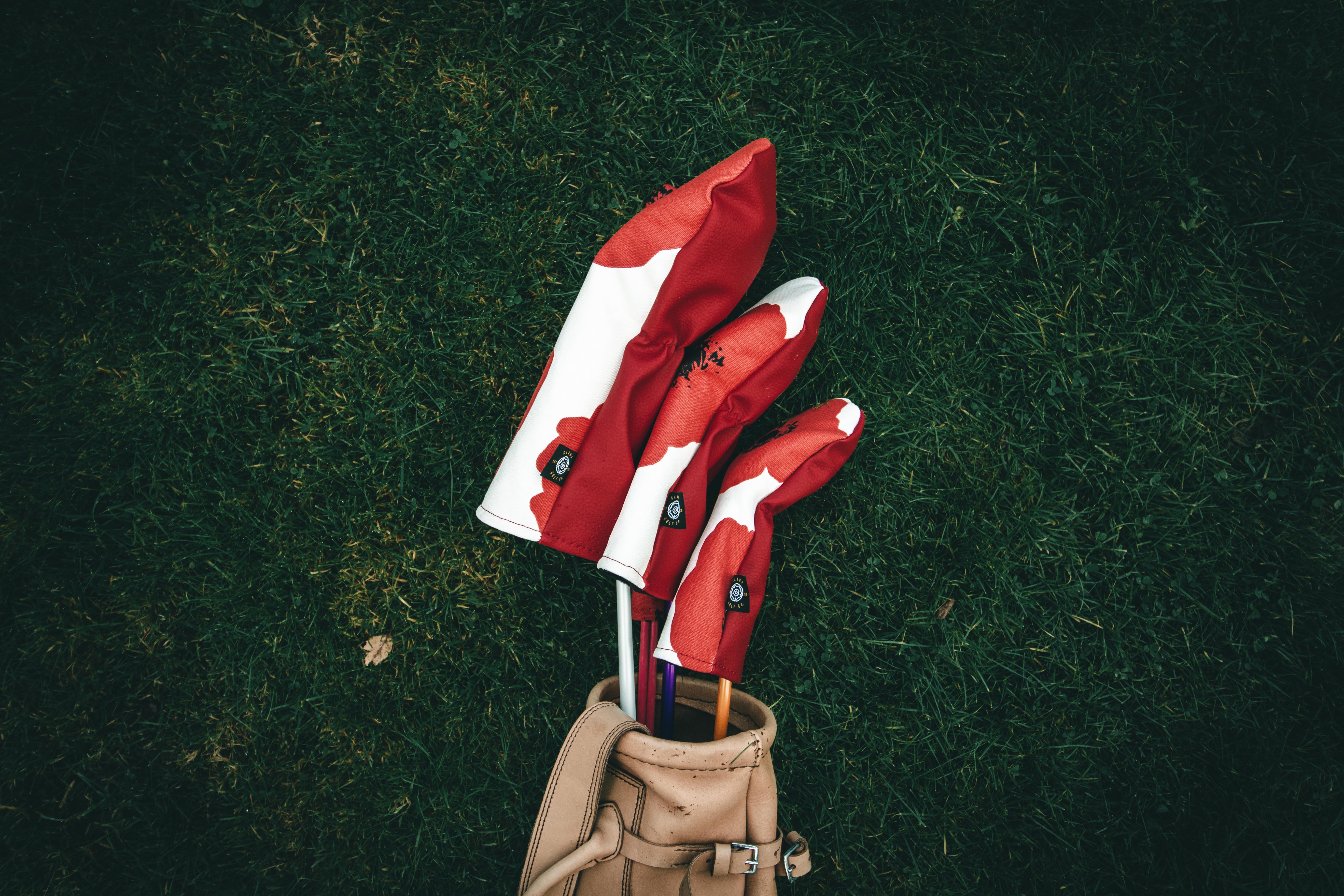 Red poppy headcovers